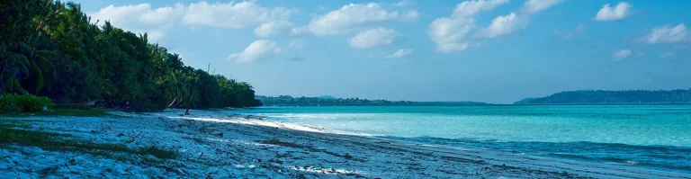 5 Nights 6 Days Andaman And Nicobar Cruise Packages
