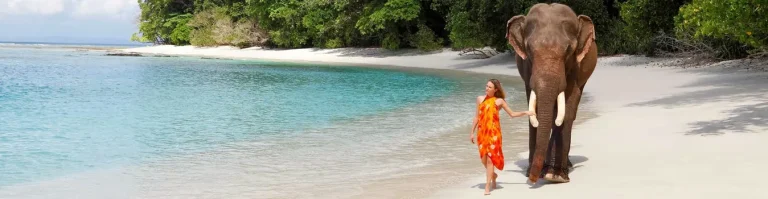 Andaman and Nicobar Islands Group Packages