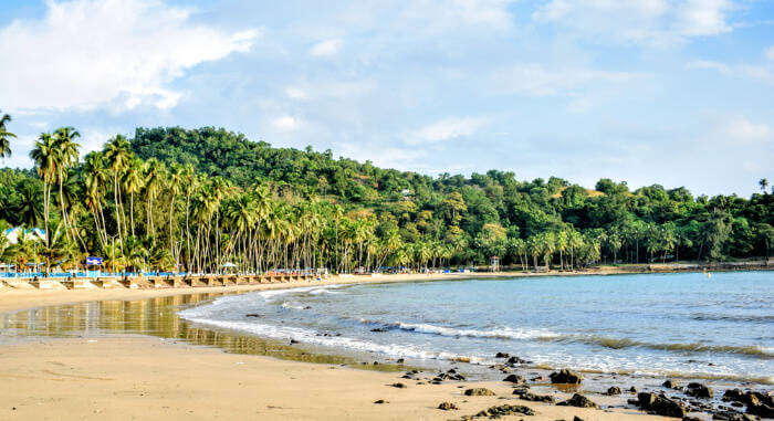 Corbyn’s Cove Beach