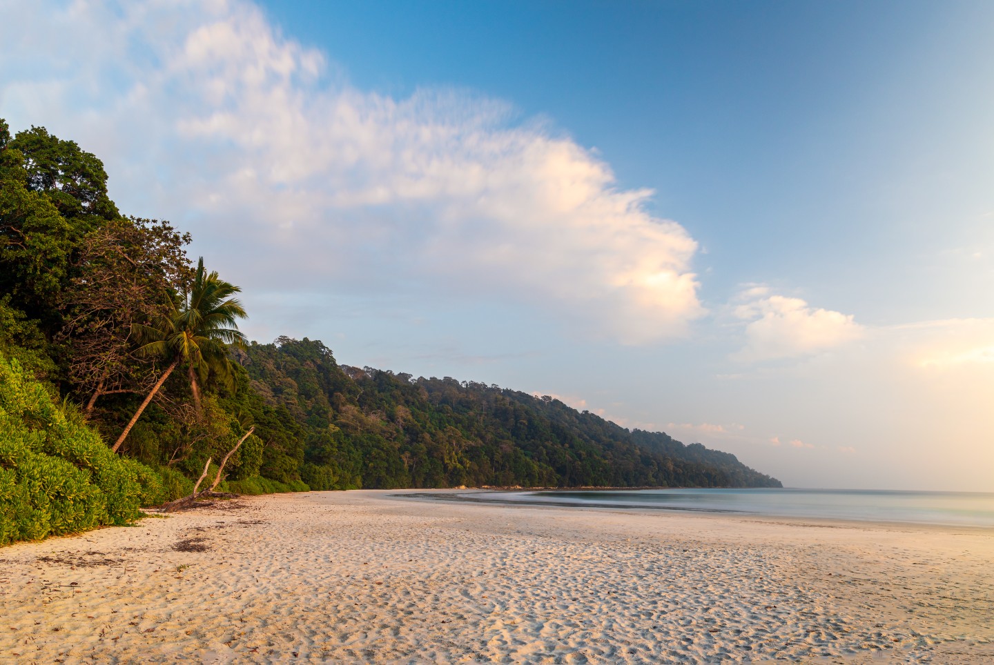 How to Reach Havelock Island