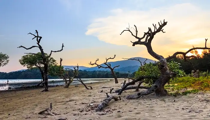 Kalipur Beach