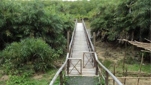 Yerrata Mangrove Walkway