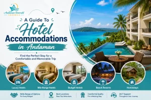A Guide To Hotel Accommodations in Andaman