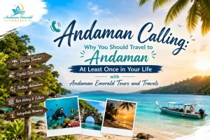 Andaman Calling: Why You Should Travel to Andaman At Least Once in Your Life with Andaman Emerald Tours and Travels