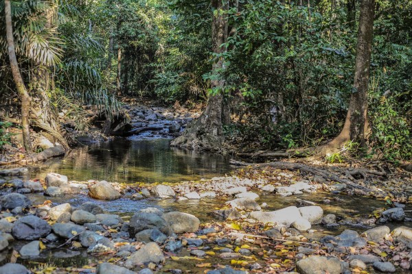 Saddle Peak National Park