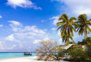 How Much Does it Cost to Visit Andaman