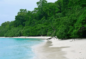 Best Taxi Hire in Andaman