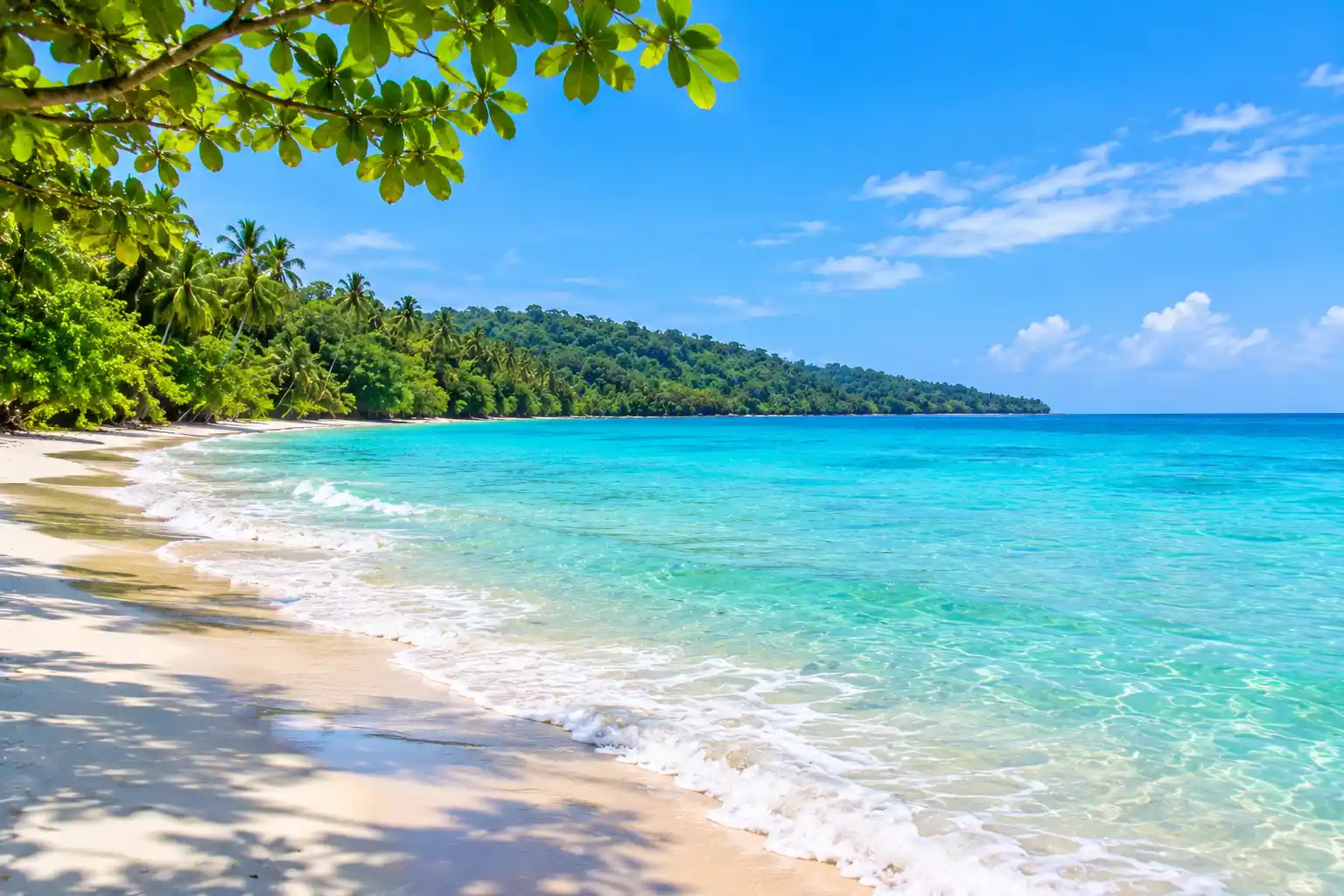 5 Nights 6 Days Andaman Packages