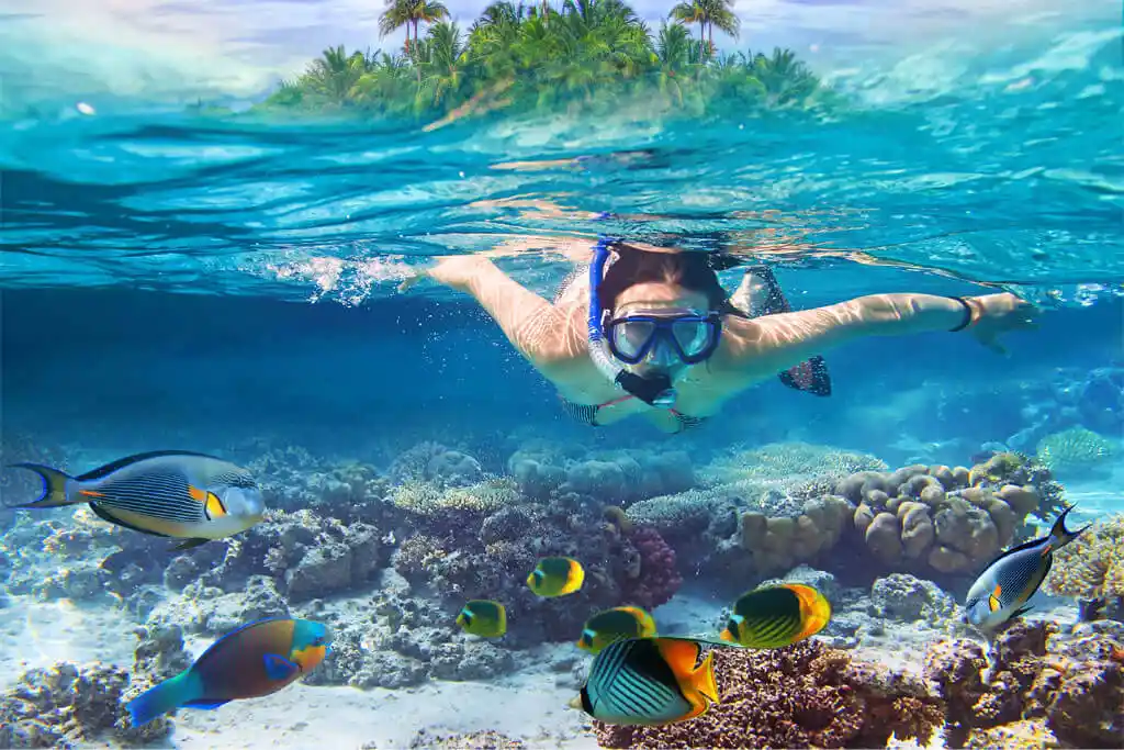 Snorkeling in Andaman